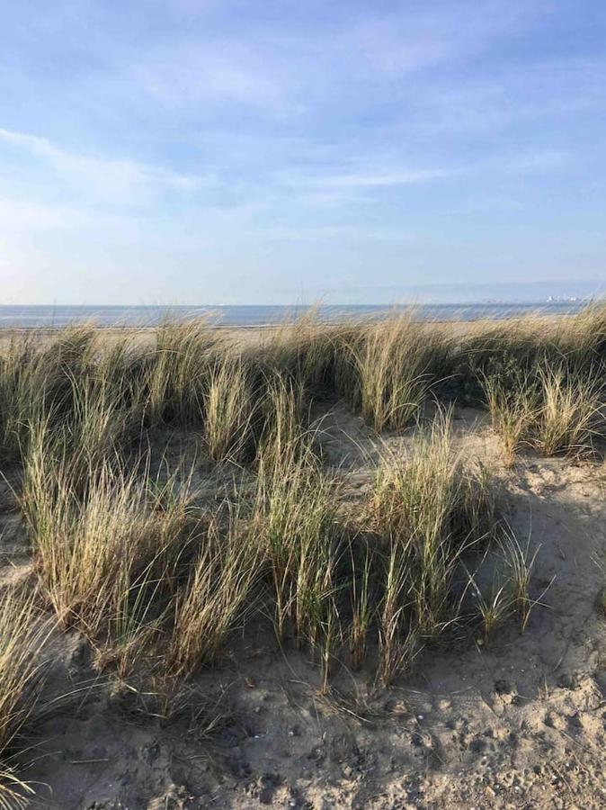 Vakantiehuisje In Ouddorp Dichtbij Het Strand Esterno foto